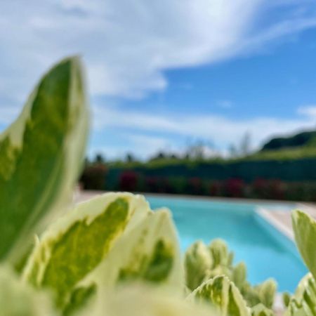 Vigneto - Italian Restaurant & B&B Villa Rosa Di Martinsicuro 외부 사진