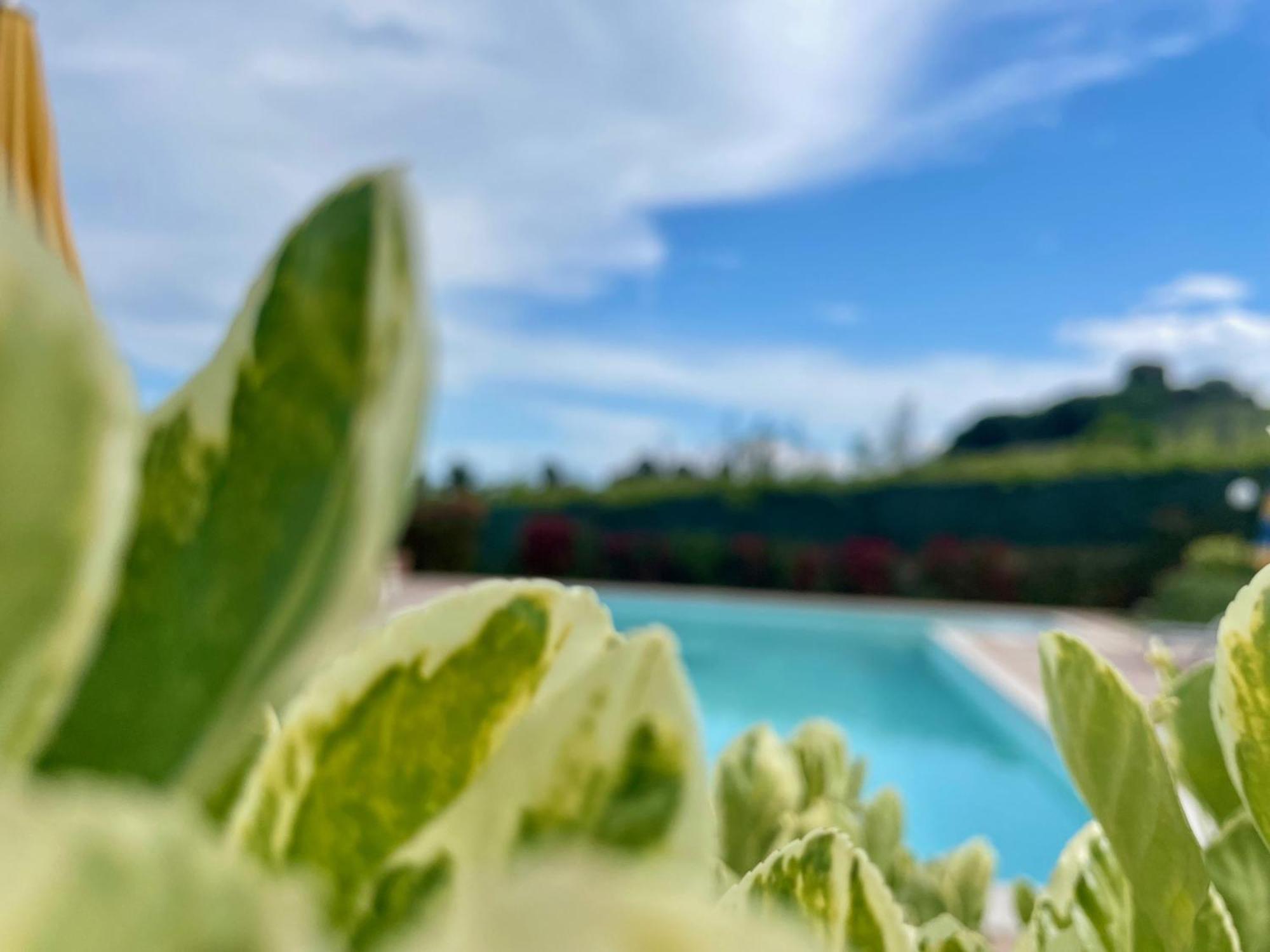 Vigneto - Italian Restaurant & B&B Villa Rosa Di Martinsicuro 외부 사진