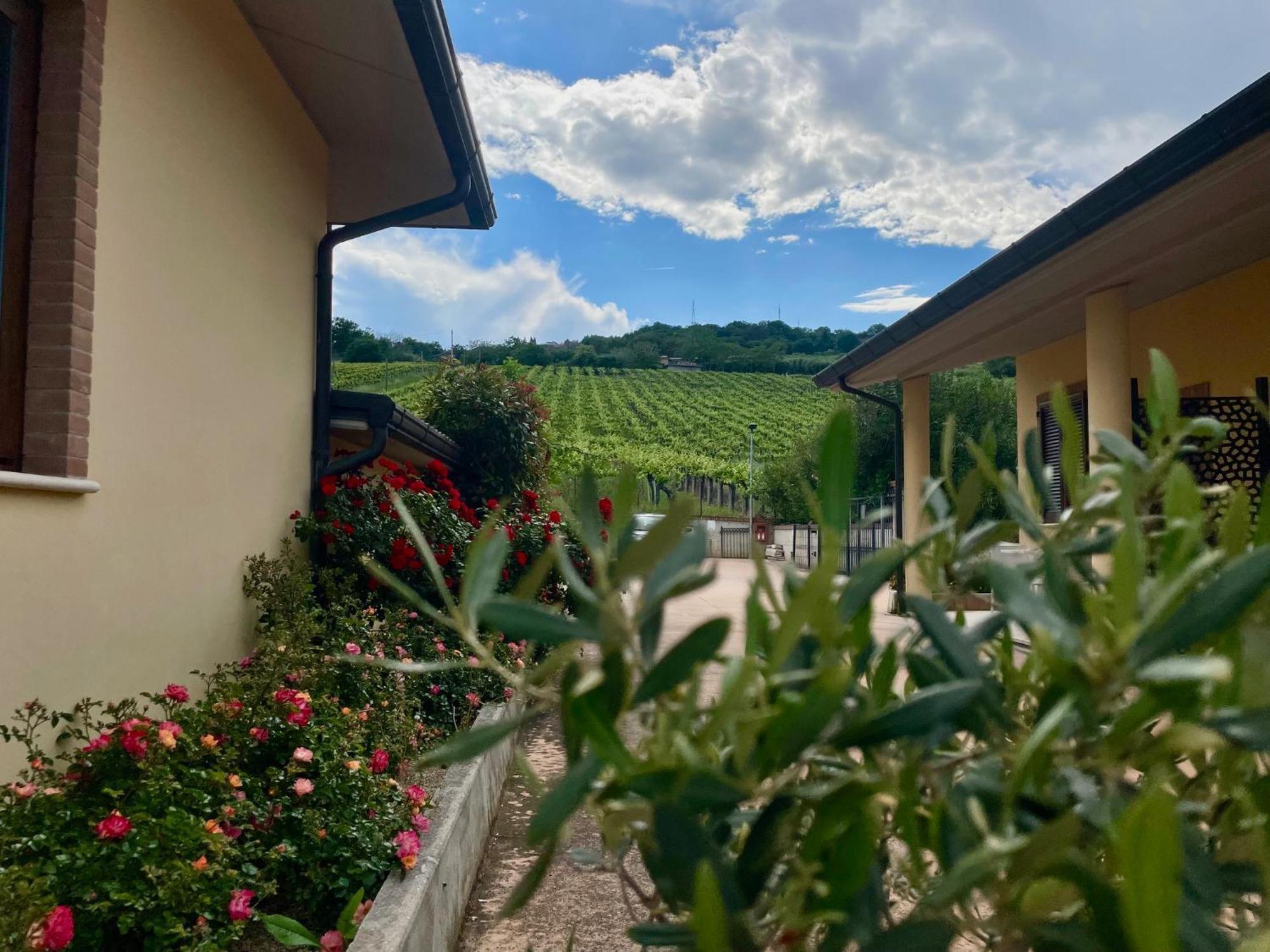 Vigneto - Italian Restaurant & B&B Villa Rosa Di Martinsicuro 외부 사진